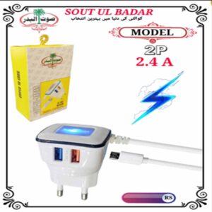Sb 2P V8 2.4A Charger